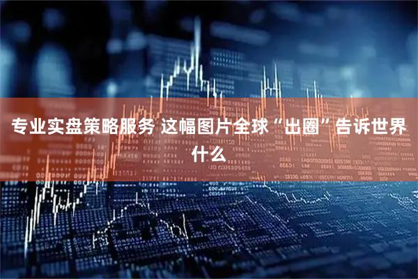 专业实盘策略服务 这幅图片全球“出圈”告诉世界什么