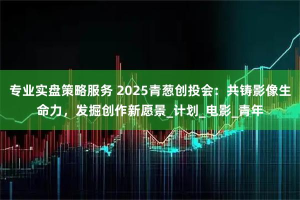 专业实盘策略服务 2025青葱创投会：共铸影像生命力，发掘创作新愿景_计划_电影_青年